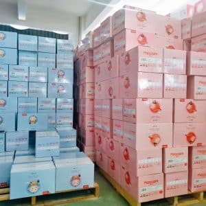 Camera Diapers Disposable-1