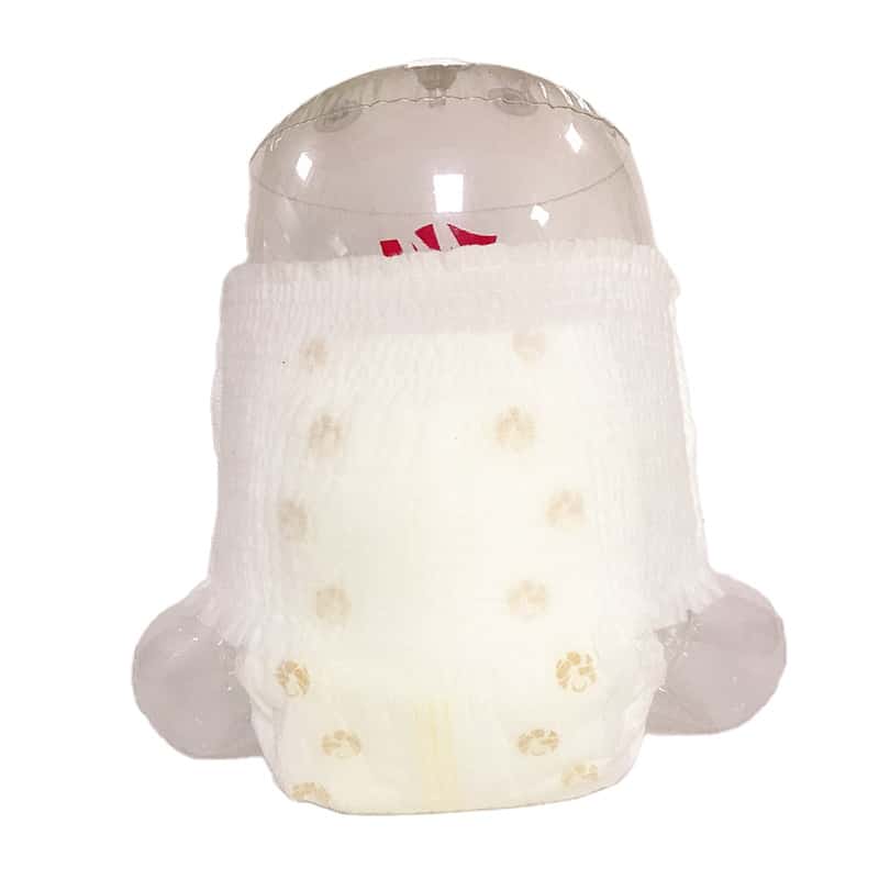 Baby Training Pants-1