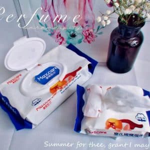 Baby Wipes China Disposable Bath Dry Wipes Manufacturers