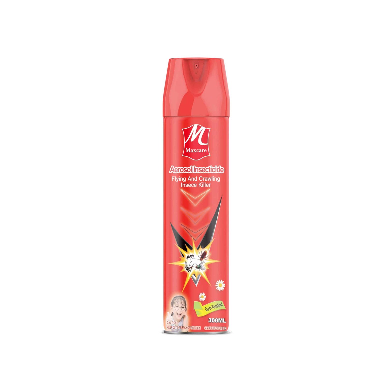 Insecticide Aerosol Spray-3